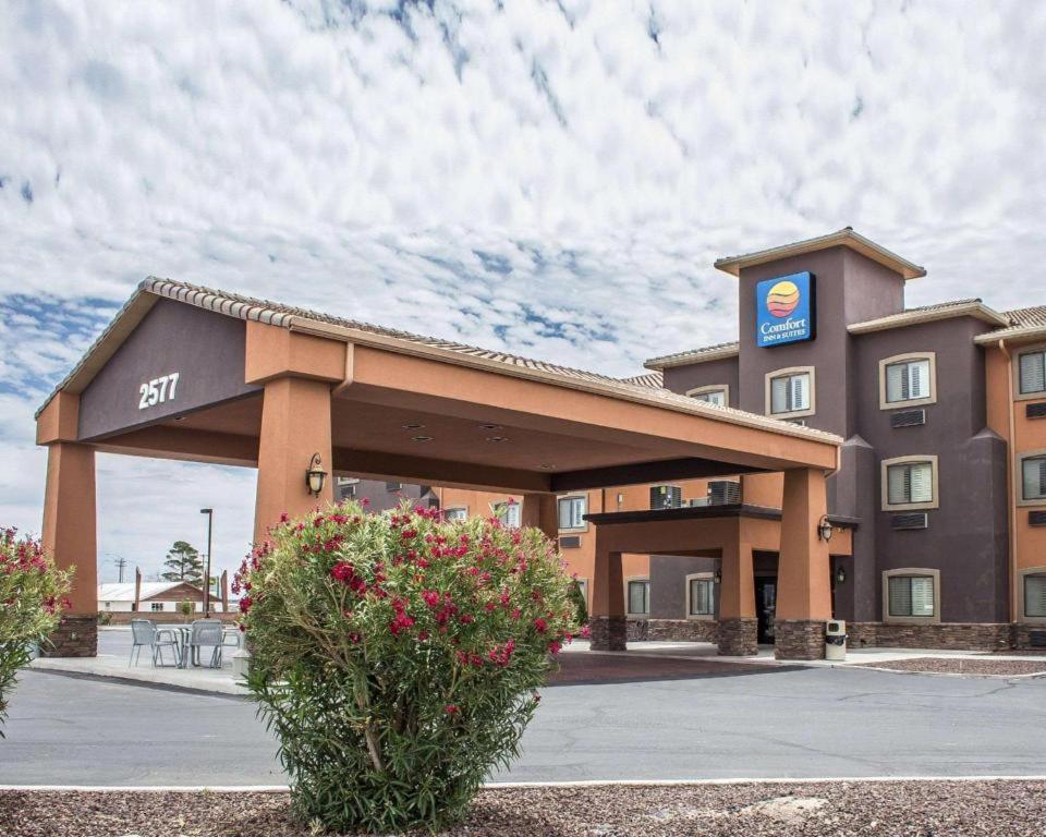Comfort Inn And Suites Thatcher Exterior foto